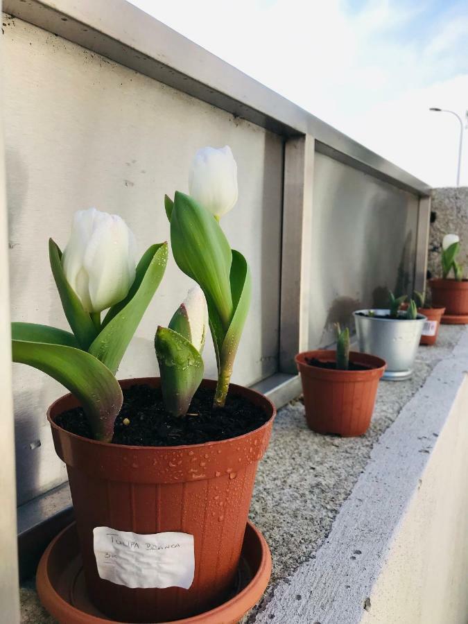Boavista Villa Guesthouse Porto Exteriér fotografie